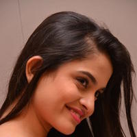 Sheena Shahabadi - Sheena Shahabadi at Gaddam Gang Movie Audio Launch Stills