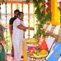 Aame Evaru Movie Opening photos | Picture 873600