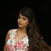 Komal Sharma at Chocolate Press Meet Gallery | Picture 871930