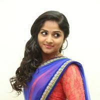 Rehana at Chakkiligintha Movie Audio Launch Photos | Picture 873336