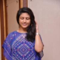 Supriya Aysola at Bhoo Press Meet Photos | Picture 880159