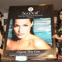 Sea Soul Cosmetics Beauty Products Unveiling Photos