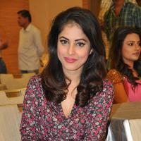 Priya Benarjee at Memu Saitham Stars Cricket Curtain Raiser Press Meet Stills