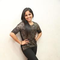 Rehana at Chakkiligintha Movie Audio Success Meet Photos | Picture 886335