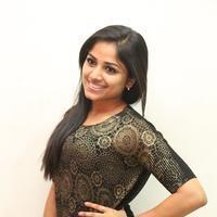 Rehana at Chakkiligintha Movie Audio Success Meet Photos | Picture 886348