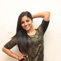 Rehana at Chakkiligintha Movie Audio Success Meet Photos | Picture 886386