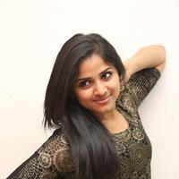 Rehana at Chakkiligintha Movie Audio Success Meet Photos | Picture 886401