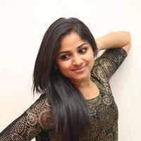 Rehana at Chakkiligintha Movie Audio Success Meet Photos | Picture 886402