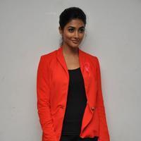 Pooja Hegde at Oka Laila Kosam Audio Launch Photos | Picture 846283
