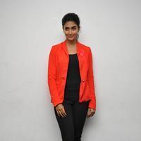 Pooja Hegde at Oka Laila Kosam Audio Launch Photos | Picture 846304