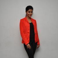 Pooja Hegde at Oka Laila Kosam Audio Launch Photos | Picture 846305