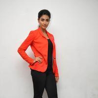 Pooja Hegde at Oka Laila Kosam Audio Launch Photos | Picture 846309