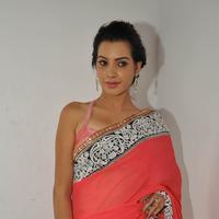 Deeksha Panth at Oka Laila Kosam Audio Launch Photos | Picture 846333
