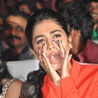 Pooja Hegde at Oka Laila Kosam Audio Launch Photos | Picture 846259