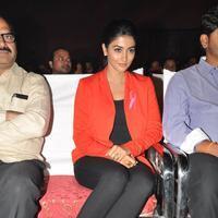 Pooja Hegde at Oka Laila Kosam Audio Launch Photos | Picture 846274