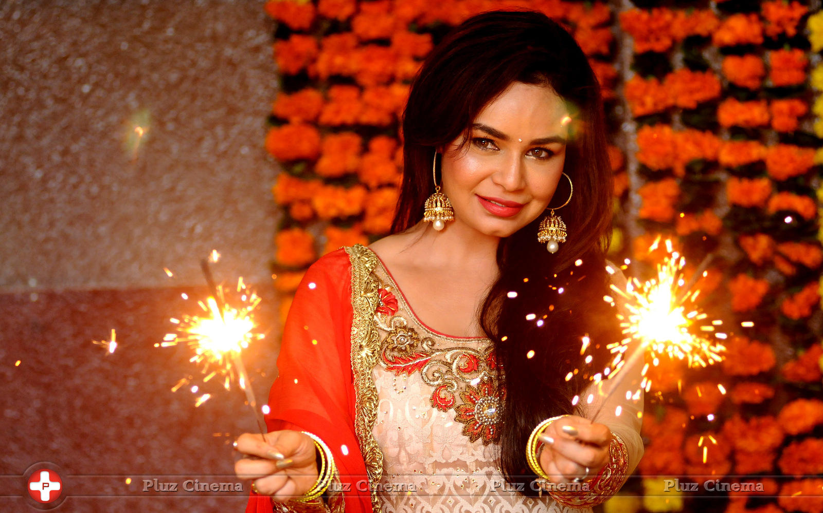 Kavita Verma Diwali Photoshoot Stills | Picture 850287