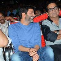 Son of Satyamurthy Audio Sucess Meet Photos | Picture 1011033