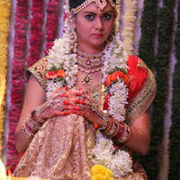 Kamna Jethmalani - Chandrika Movie New Gallery | Picture 1012432