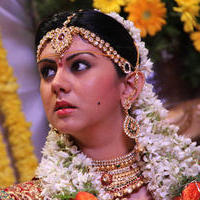Kamna Jethmalani - Chandrika Movie New Gallery | Picture 1012440
