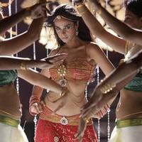 Mallika Sherawat - Thimmiri Movie Photos | Picture 1014900