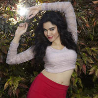 Adah Sharma Photoshoot Gallery | Picture 1016509