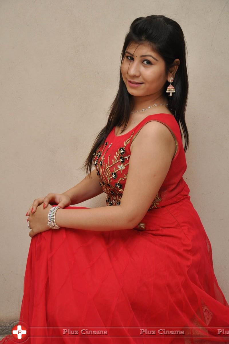 Janisa Patel at Nuvvena Adi Neevena Platinum Disc Function Photos | Picture 1016307