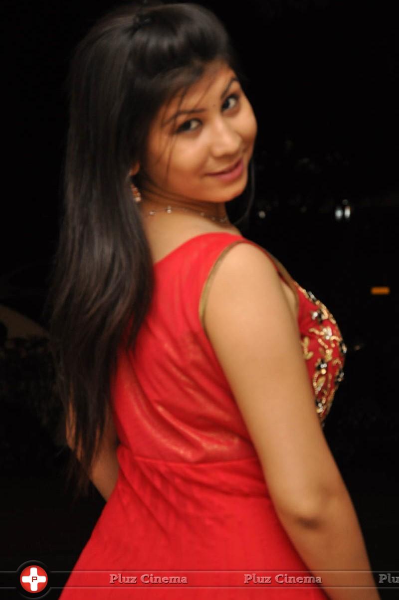 Janisa Patel at Nuvvena Adi Neevena Platinum Disc Function Photos | Picture 1016320