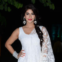Sonarika Bhadoria at Jadoogadu Audio Launch Photos | Picture 1019612