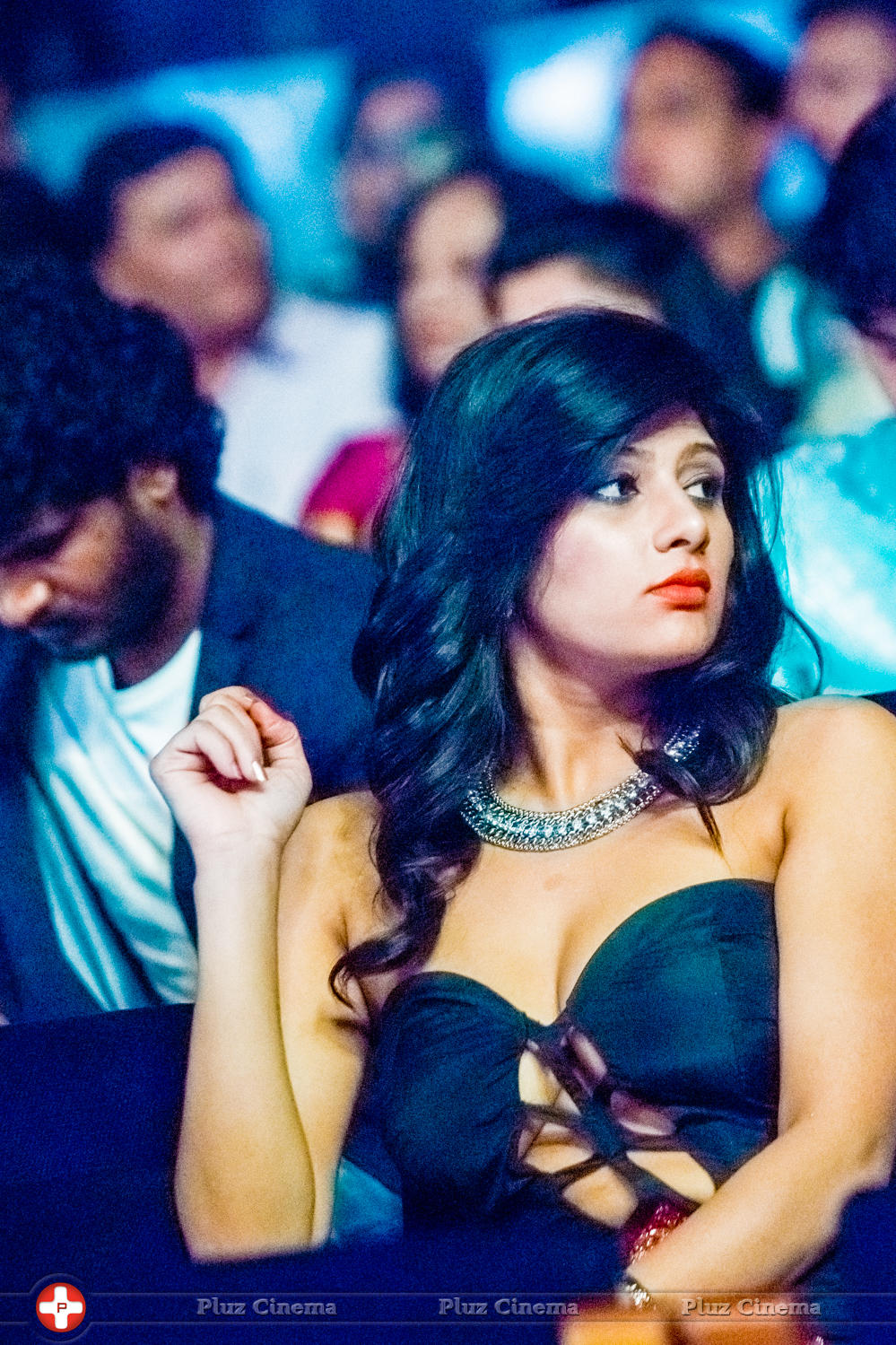 SIIMA Awards 2015 Stills | Picture 1090735