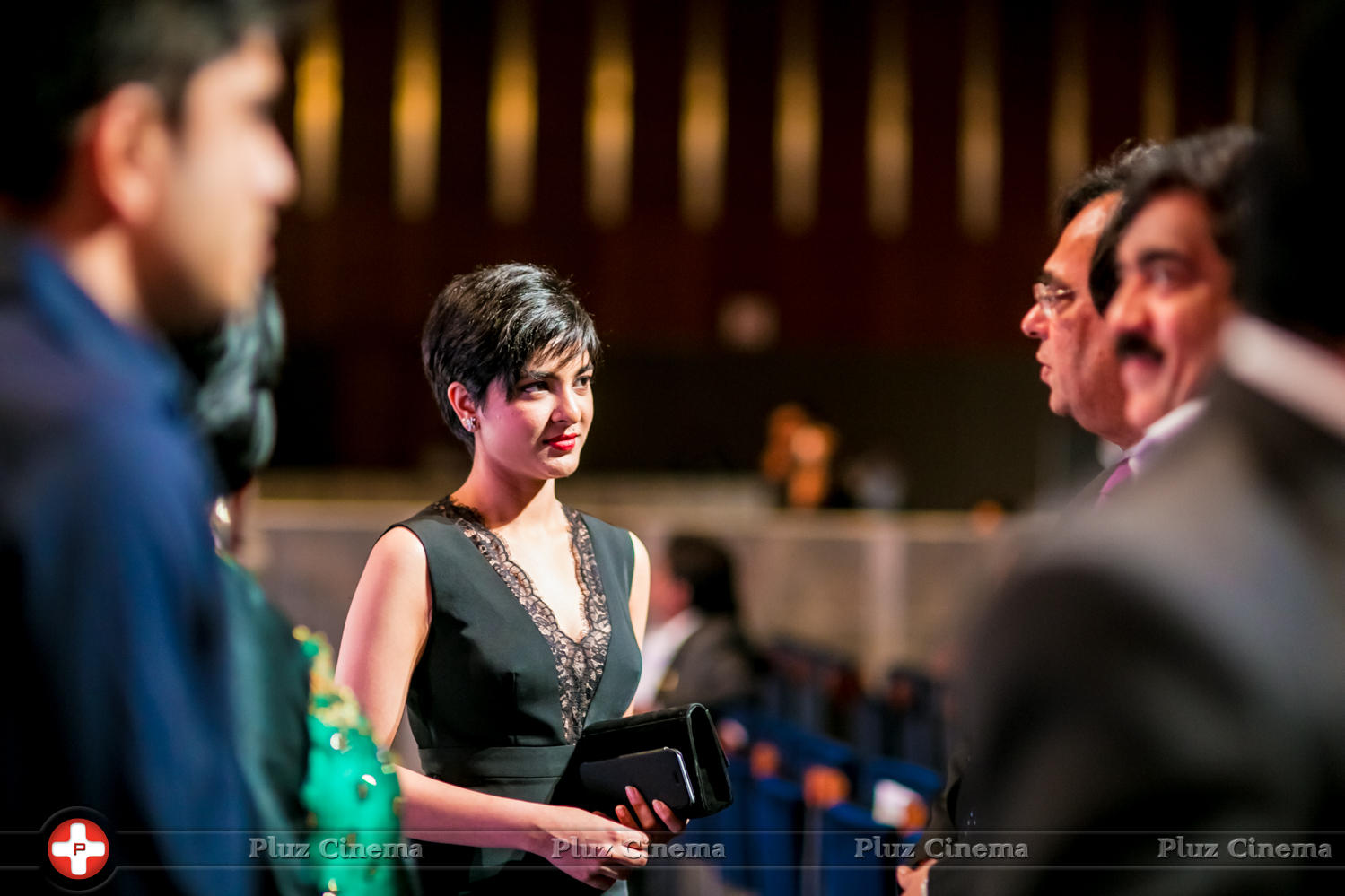 SIIMA Awards 2015 Stills | Picture 1090778