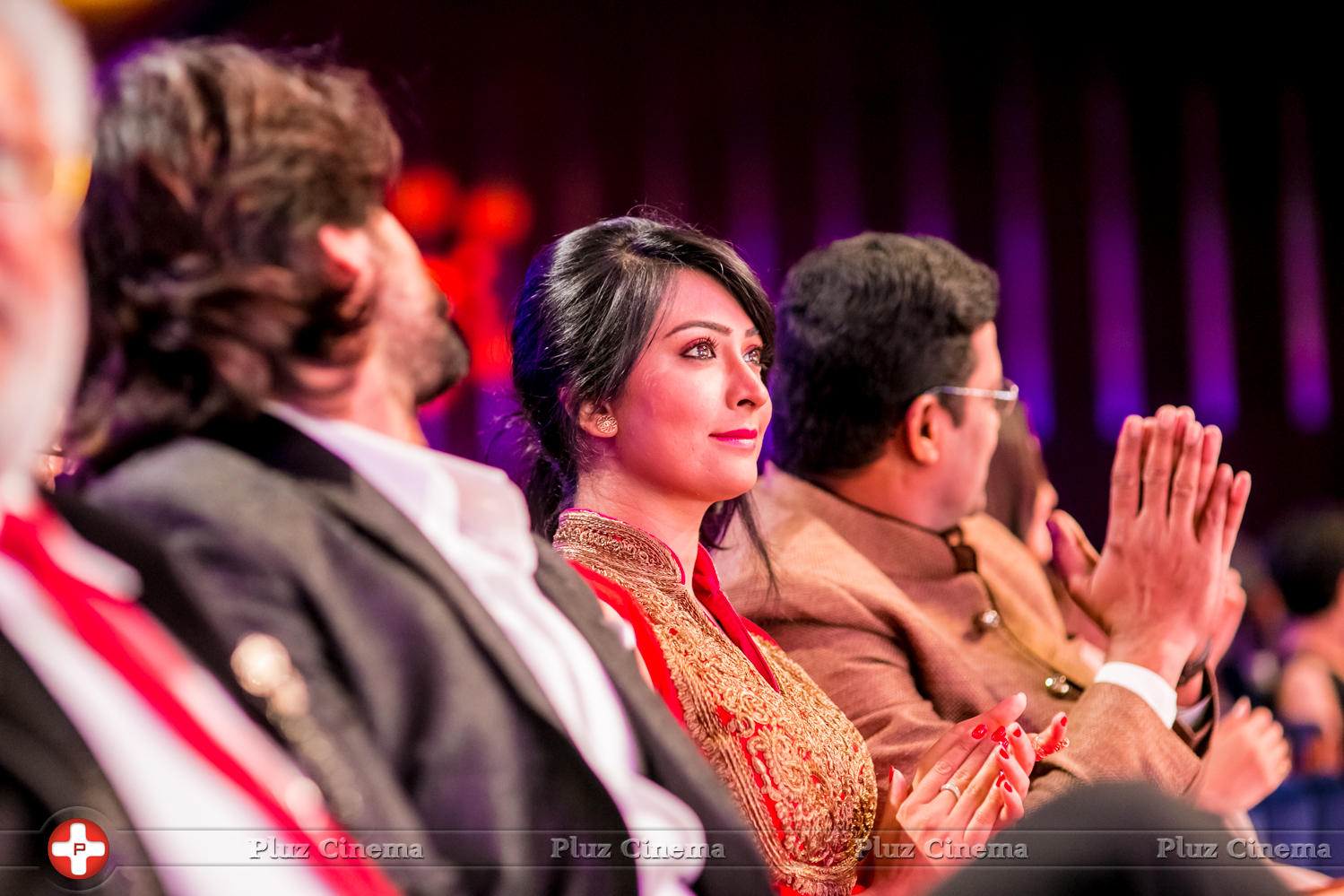 SIIMA Awards 2015 Stills | Picture 1090797