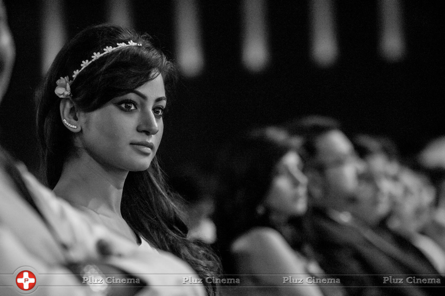 SIIMA Awards 2015 Stills | Picture 1090875