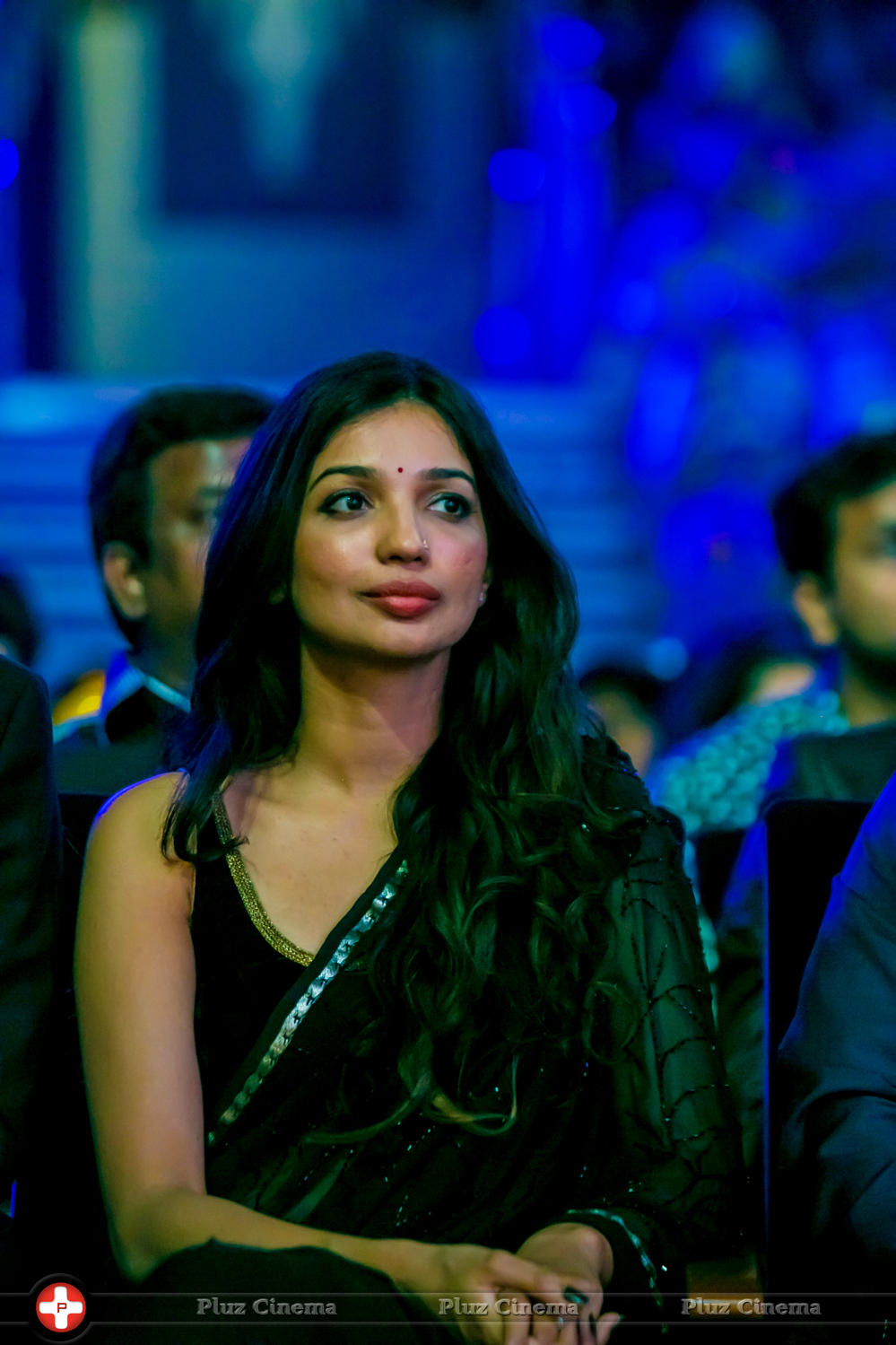 SIIMA Awards 2015 Stills | Picture 1090896