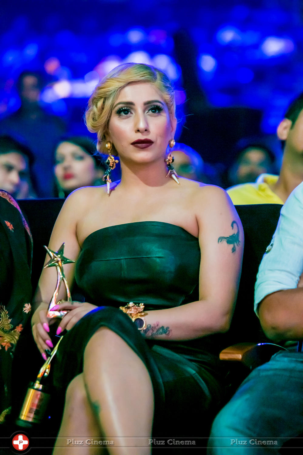 SIIMA Awards 2015 Stills | Picture 1090904