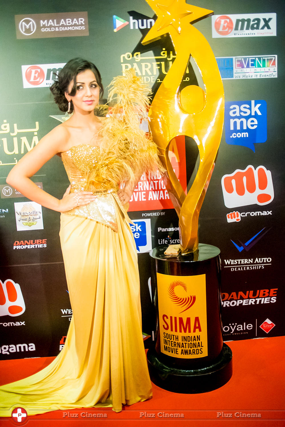 SIIMA Awards 2015 Stills | Picture 1091025