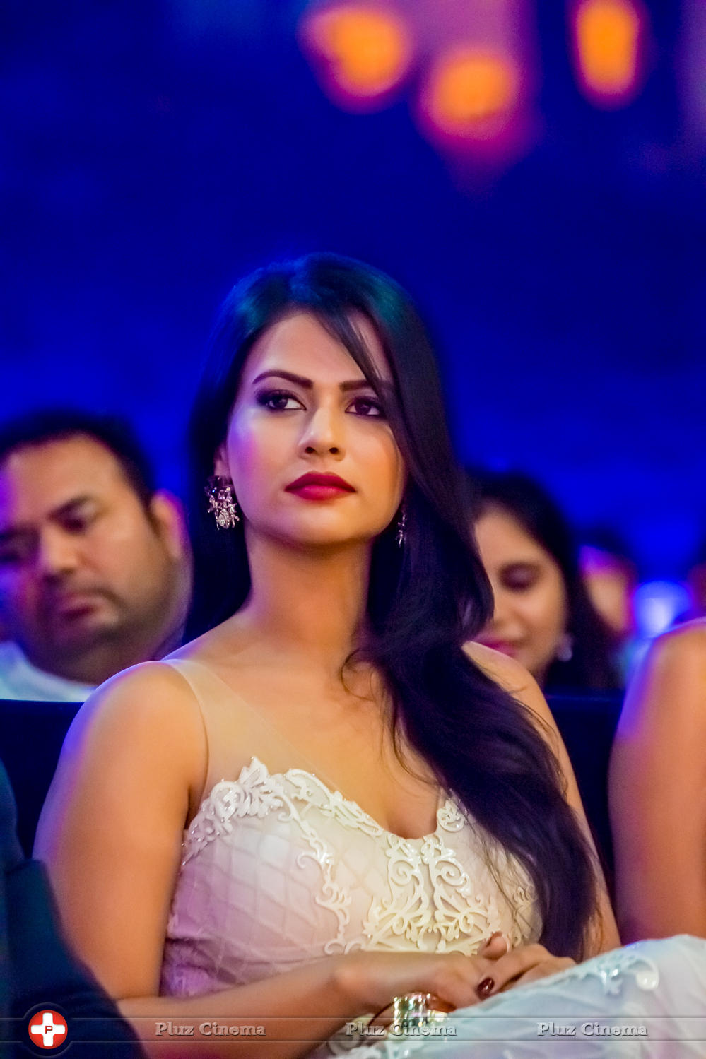 SIIMA Awards 2015 Stills | Picture 1091038