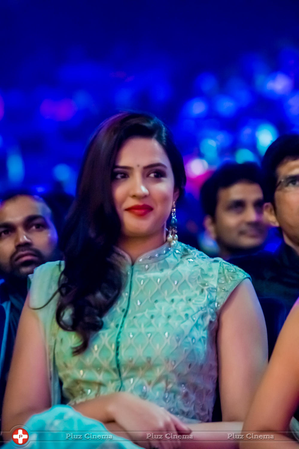 SIIMA Awards 2015 Stills | Picture 1091058