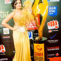 SIIMA Awards 2015 Stills | Picture 1091025