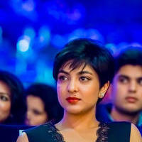 SIIMA Awards 2015 Stills | Picture 1091042