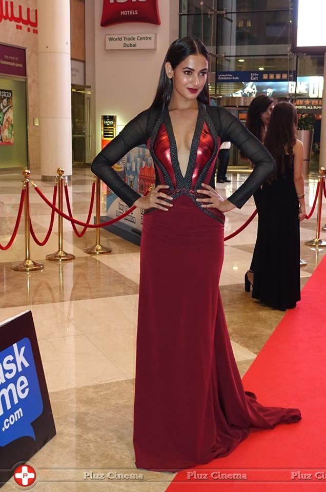 Sonal Chauhan - SIIMA Awards 2015 Red Carpet Photos | Picture 1090390