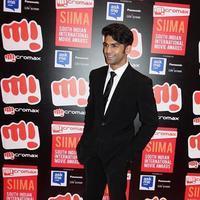 SIIMA Awards 2015 Red Carpet Photos