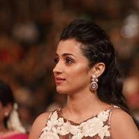 Trisha Krishnan - SIIMA Awards 2015 Stills