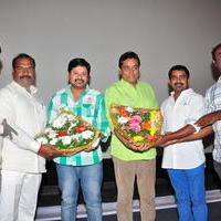 Simple Love Story Movie Audio Launch Function Stills | Picture 1093747