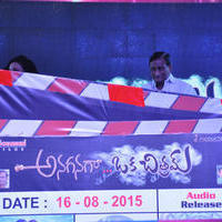 Anaganaga Oka Chitram Movie Audio Launch Photos | Picture 1096579