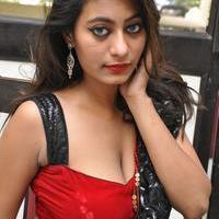 Actress Monika Hot Gallery | Picture 1097508