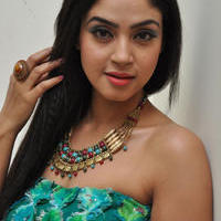 Angana Roy at Srimanthudu Movie Thanks Meet Photos | Picture 1098699