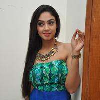 Angana Roy at Srimanthudu Movie Thanks Meet Photos | Picture 1098731