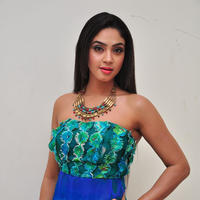 Angana Roy at Srimanthudu Movie Thanks Meet Photos | Picture 1098744