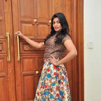 Soumya at Srimanthudu Thanks Meet Stills | Picture 1098601