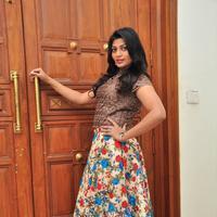 Soumya at Srimanthudu Thanks Meet Stills | Picture 1098611